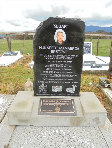 Bristowe, Te Hukarere Mamaeroa (Sugar) (Headstobe)