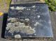 Ferguson, Elsie May (Headstone)