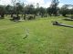 Priestley, Charles b1826 (Gravesite)
