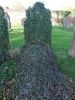 Priestley, Stephen d.1862 (Headstone)