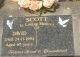Scott, David (Headstone)